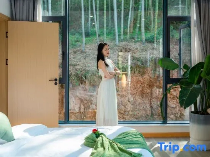 Standard Twin room with land view