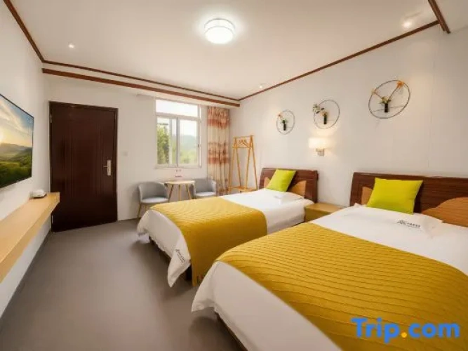 Standard Double room with courtyard view