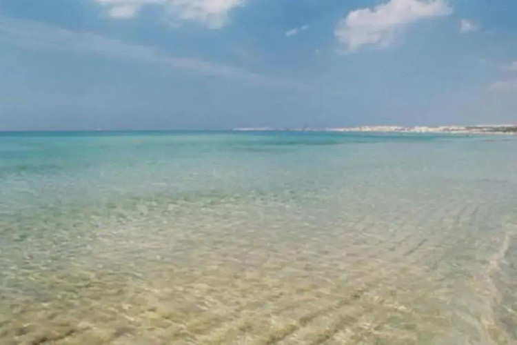 21 Via Senigallia