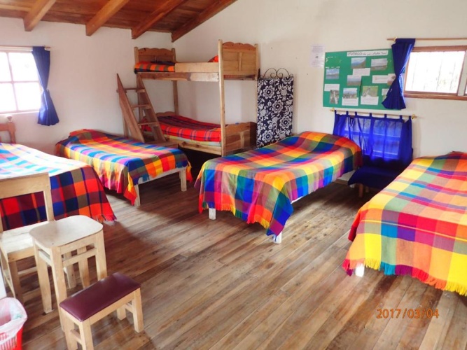 Bed in Dorm