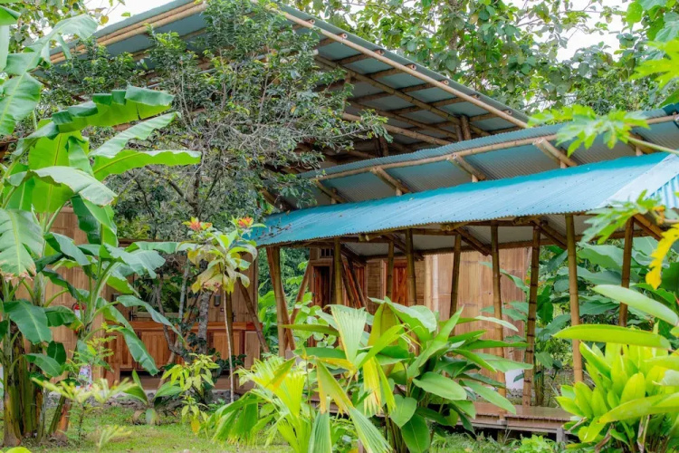 La Cotinga Biological Station