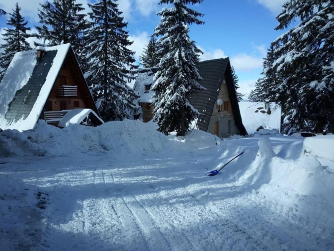 Cottage