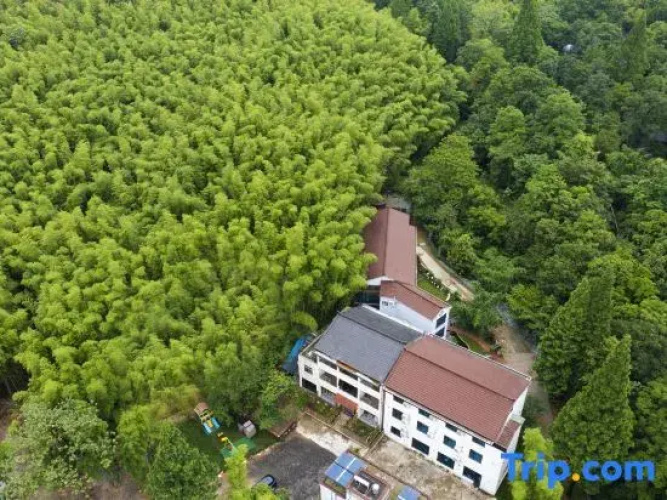 Seclusion B&B