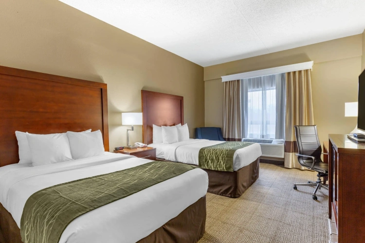 Standard Quadruple room