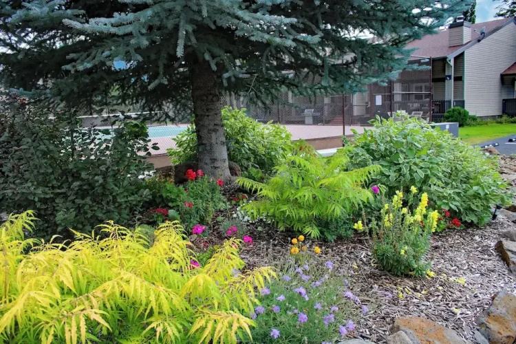 Deck & Golf Course Views: Munds Park Condo!