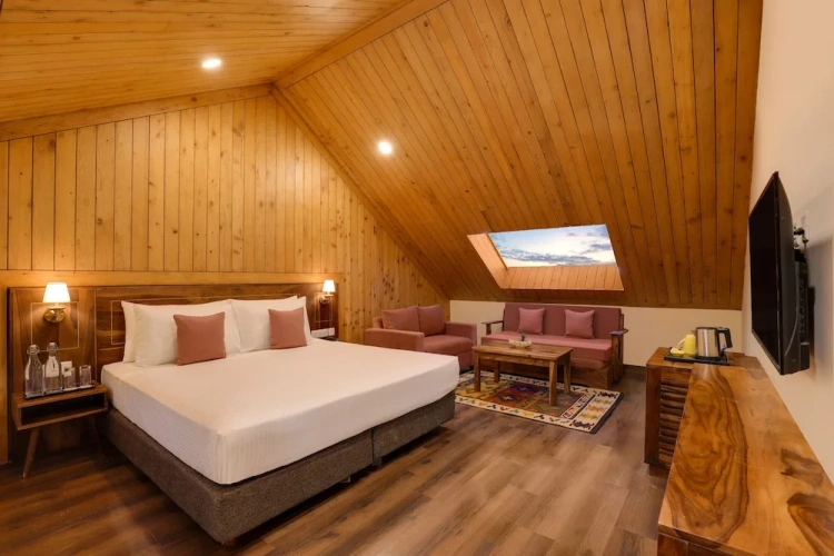 Standard Attic room