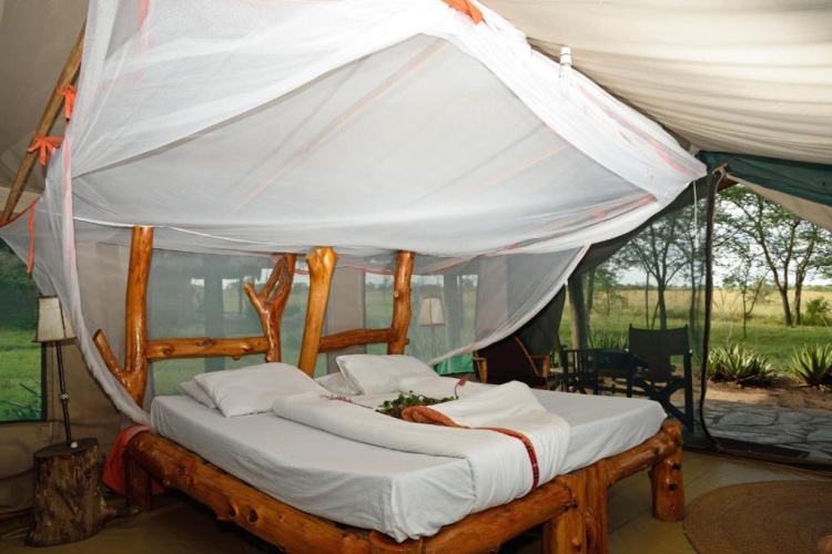 Tent