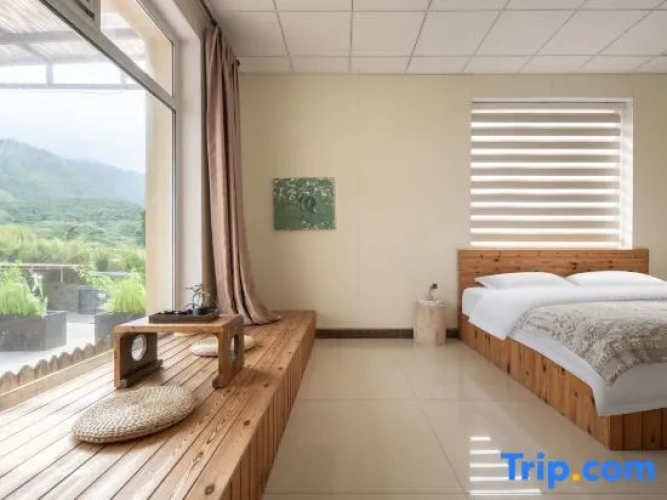 Standard Double room with sea view