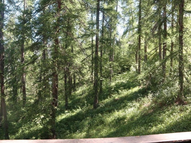 Outside
