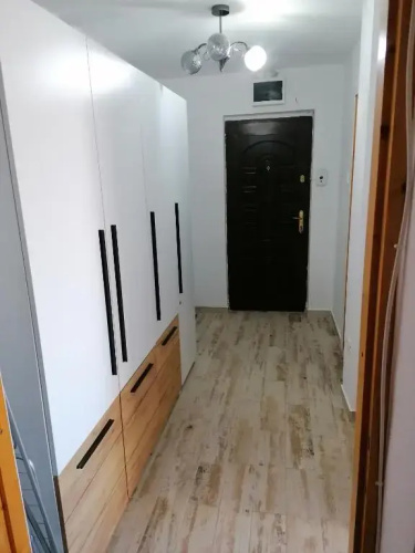 New Insomnia Studio