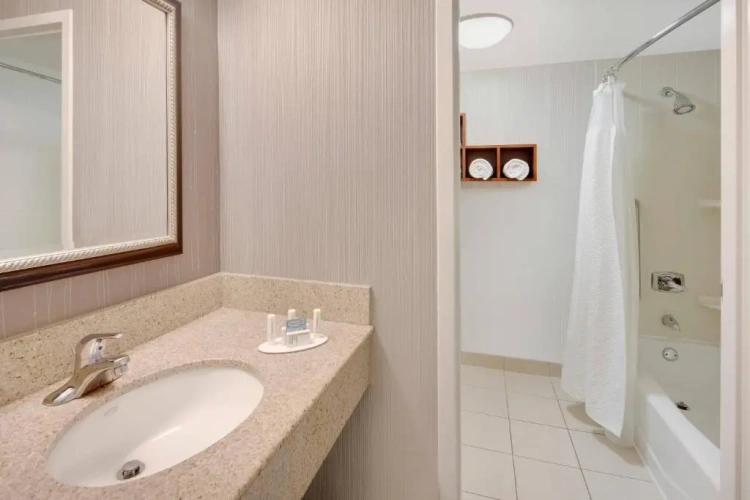 1 Bedroom Double Suite with courtyard view