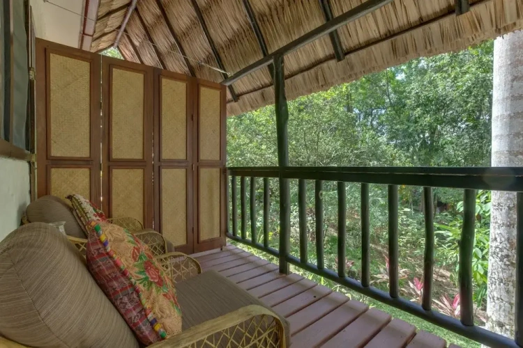 Standard Double room with balcony and with garden view