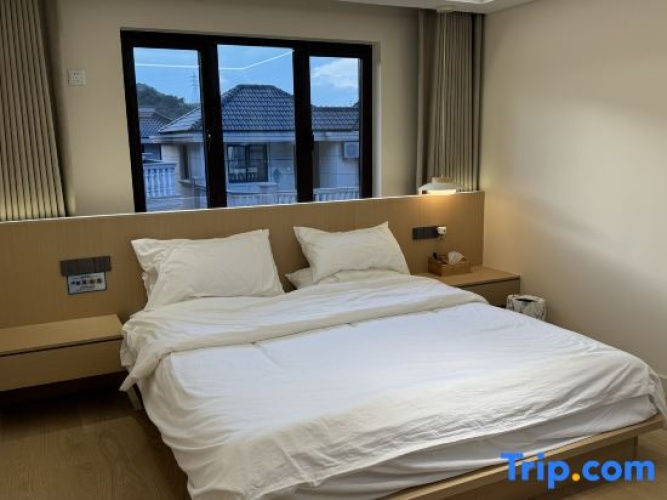 Standard Double room with mountain view