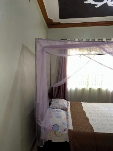 Olive Palm Suites Jinja