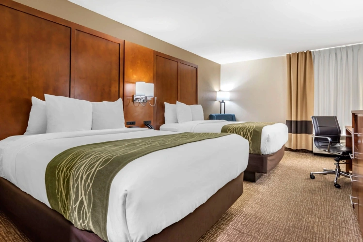 Standard Quadruple room