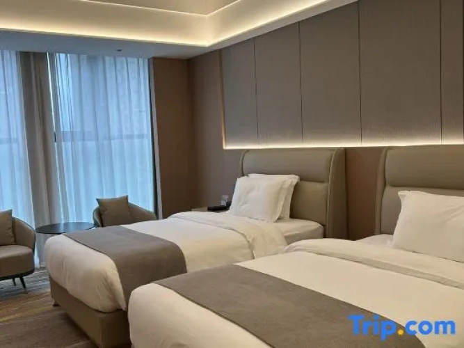 Executive Twin room