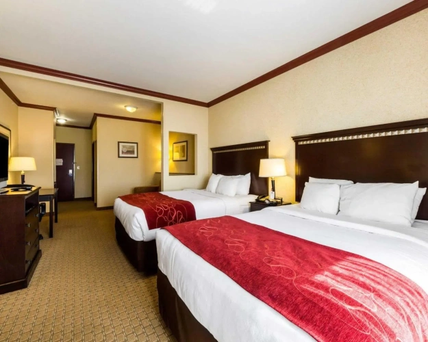 Quadruple Suite
