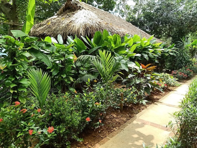 Deluxe Double Bungalow