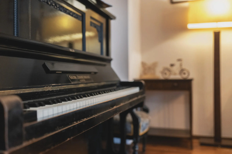 P&O Apartments Arkadia 2Over view