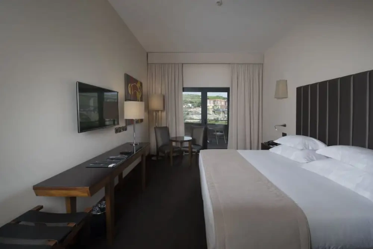 Standard Double room with river view