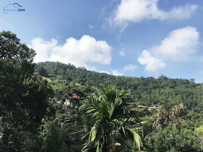 Luxury Double room with mountain view
