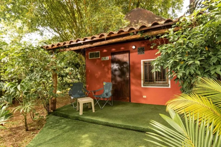 Standard Bungalow with view