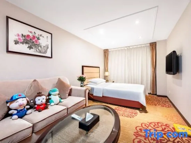 Triple Family Suite