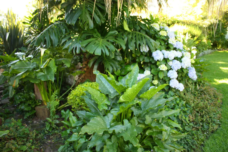 9 Fern Rest