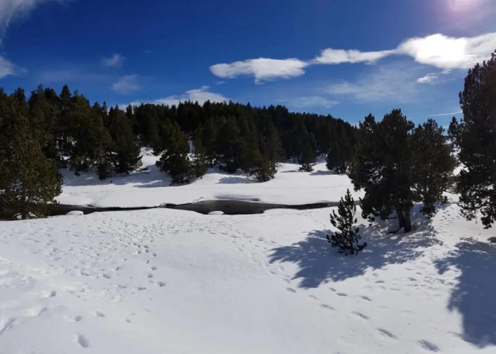 Chalet La Campagnette