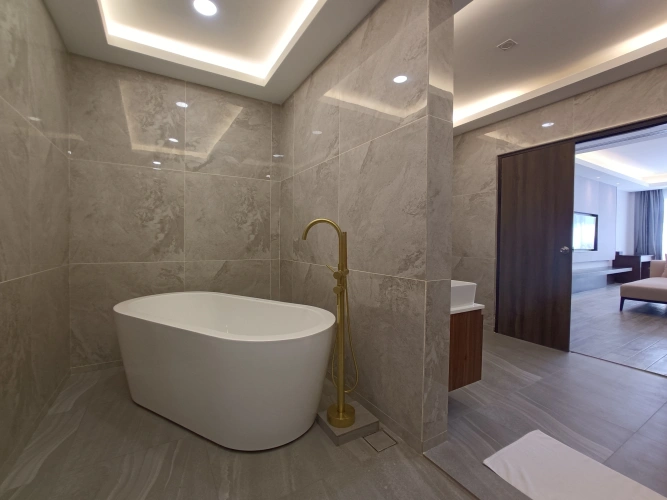 Standard Penthouse room