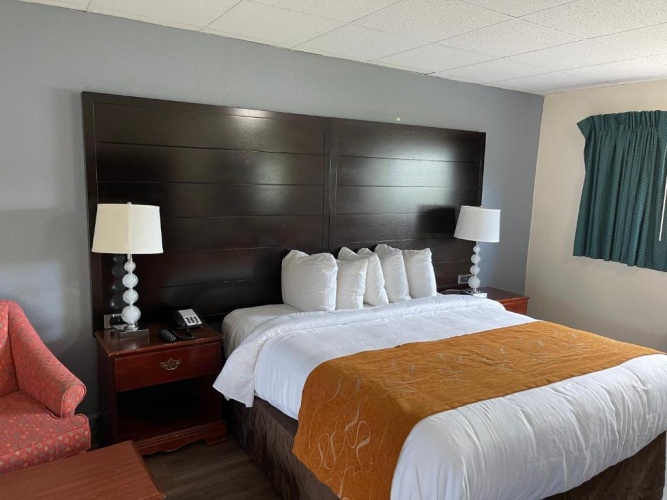 Standard Single room