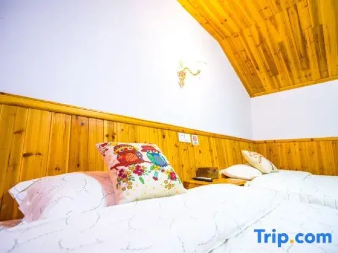 Standard Attic room