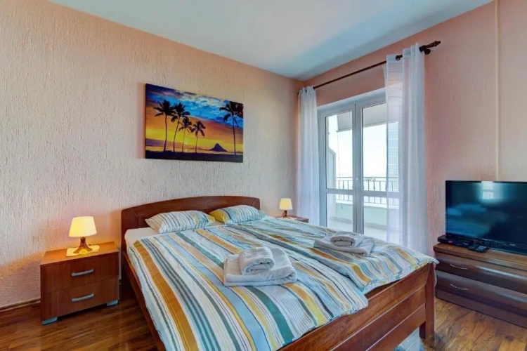 1 Bedroom Apartment with balcony and with view