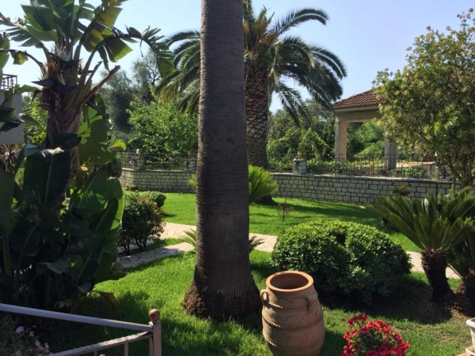 Superior Double room with garden view