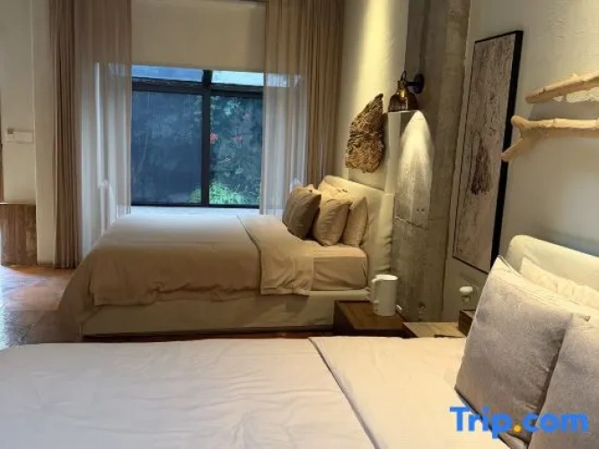 Standard Twin Family room
