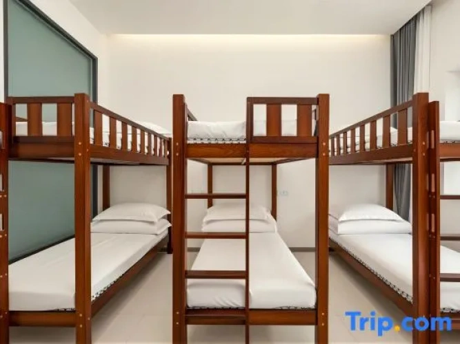 Bed in Dorm