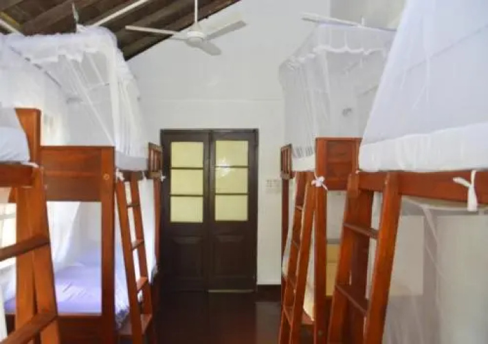 Fig and Gecko Hostel