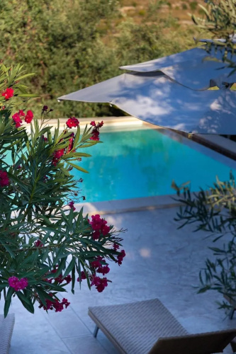 Tenuta Olive Alive