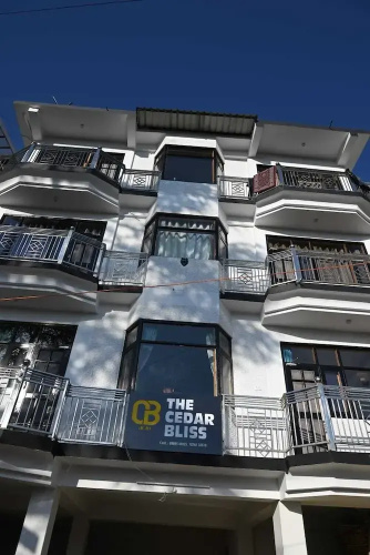 The Cedar Bliss - Shimla