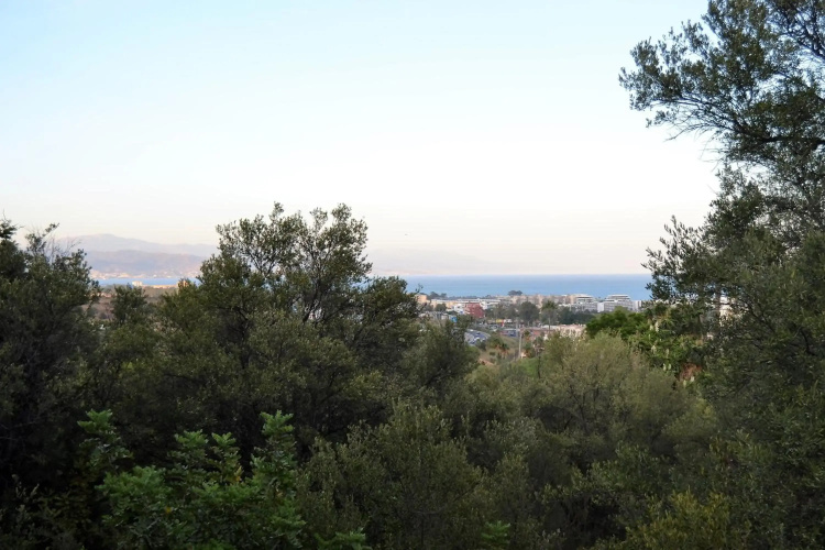 Suite Estudio Montaña