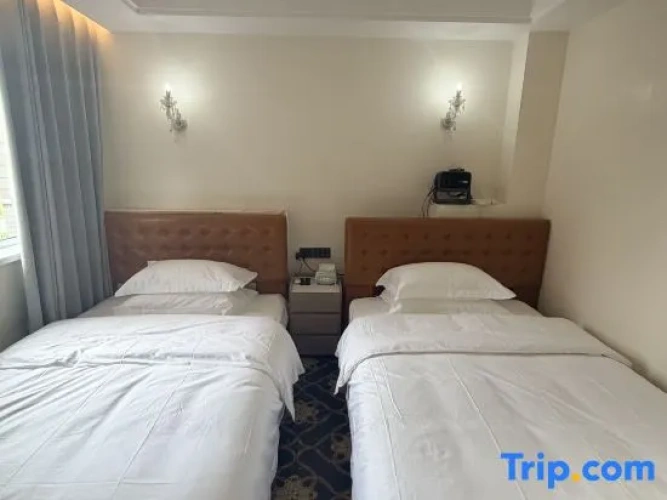Premium Twin room