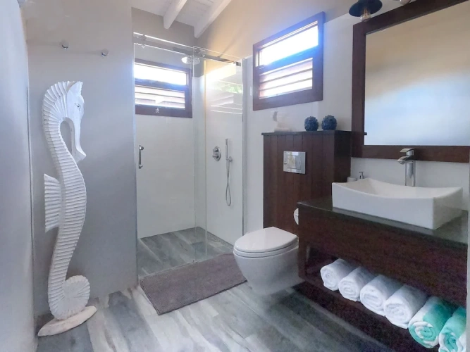 1 Bedroom Luxury Basement Studio