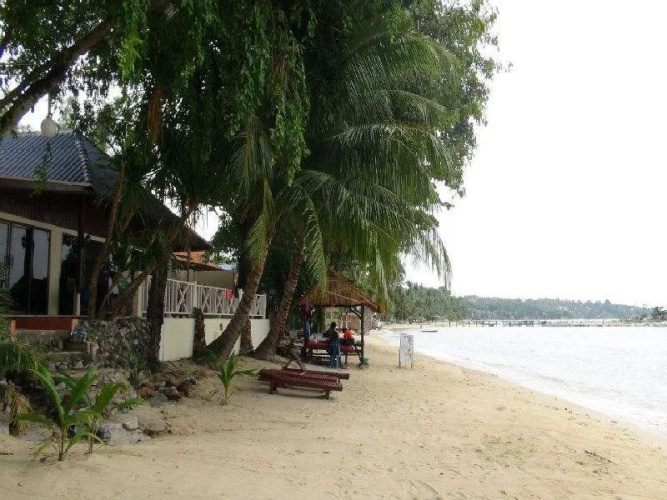 Meedej Guesthouse Koh Samui(มีเดช เกสท์เฮาส์)