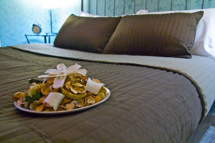 Slow Life B&B