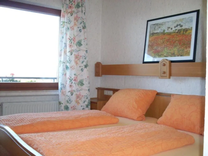 Standard Double room with balcony and with view
