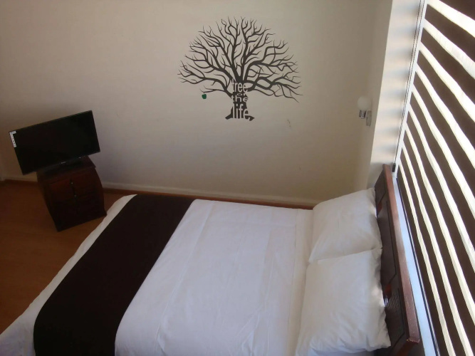 Hostal Urban Inn - Hostel