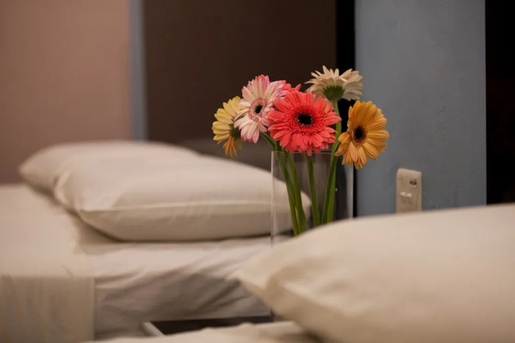 Hotel Ria