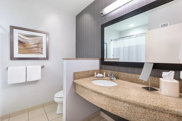 1 Bedroom Suite