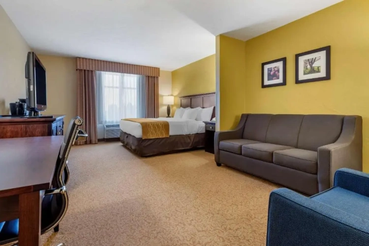 1 Bedroom Double Suite