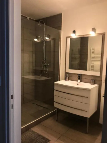Roanne-centre appartement